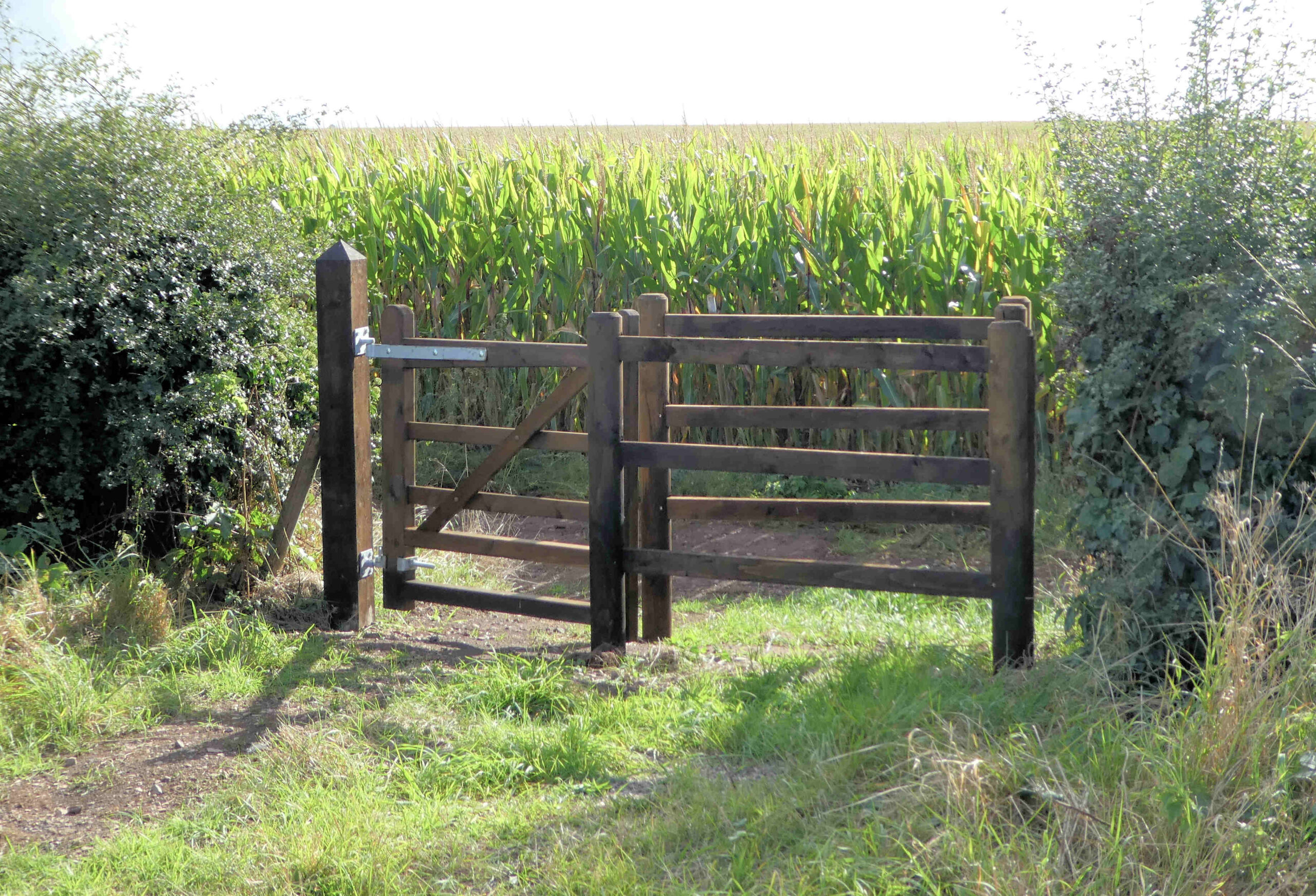 New Ashby Canal path update