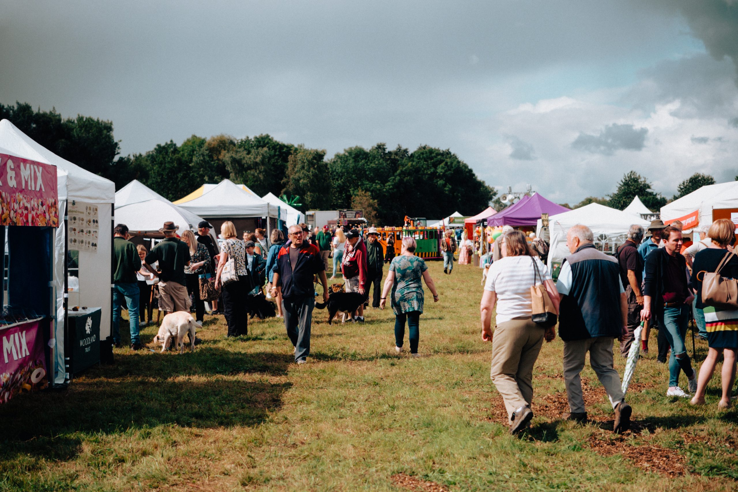 Join the Festival of Water Committee